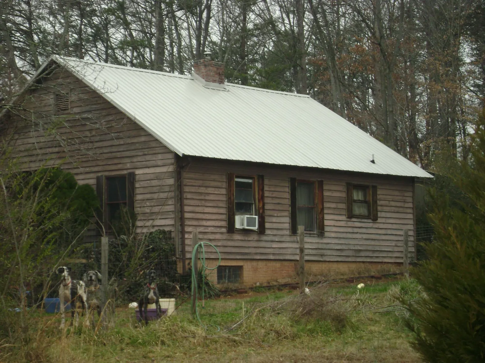 White metal roof on an old wood sided farmhouse, from a Metal Roof Installation job in Cliff Island
